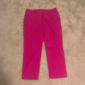 Express Fuchsia Editor Pants